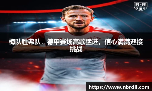 z6com尊龙凯时官方app